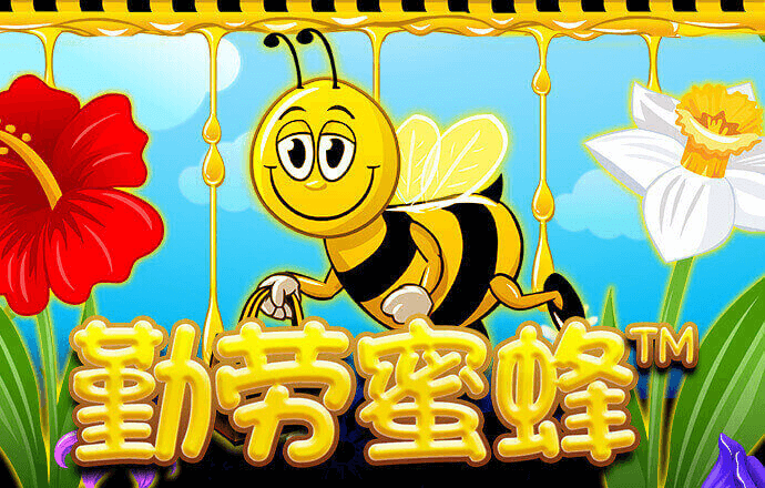 博盈体育